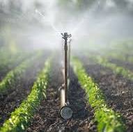 Irrigation agricole